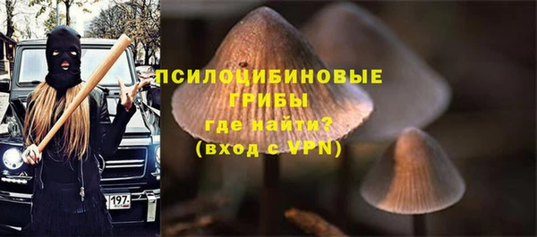 гидропоника Иннополис