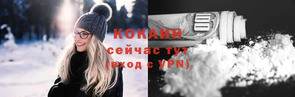 прущие грибы Зеленокумск