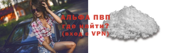 ГАЛЛЮЦИНОГЕННЫЕ ГРИБЫ Инта