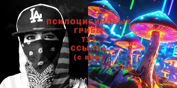 ГАЛЛЮЦИНОГЕННЫЕ ГРИБЫ Инта