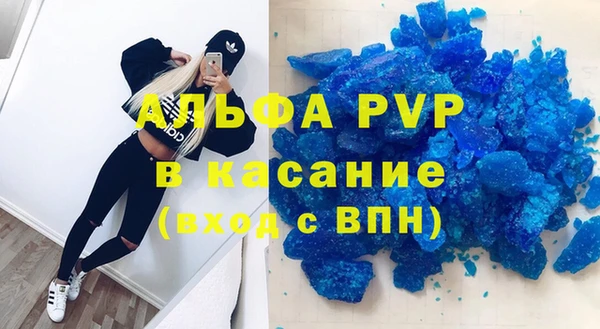 ГАЛЛЮЦИНОГЕННЫЕ ГРИБЫ Инта