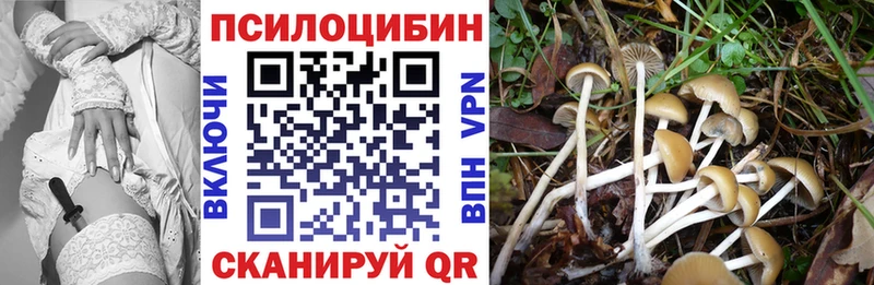 Галлюциногенные грибы прущие грибы  Купить  Микунь 